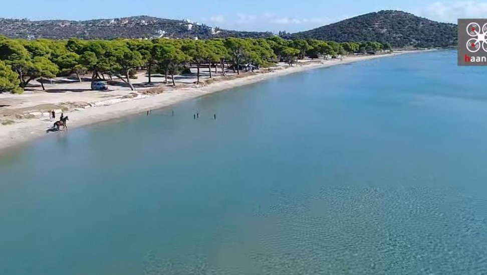 Παραλία Σχινιά