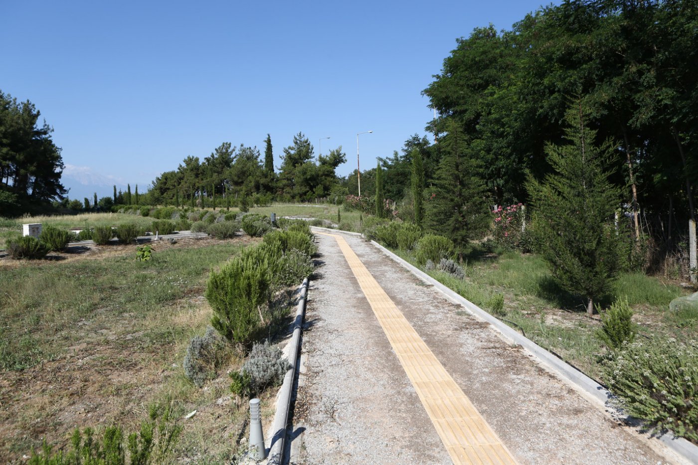 Μακεδονικοί Τάφοι - θέση Τούμπες Κορινού