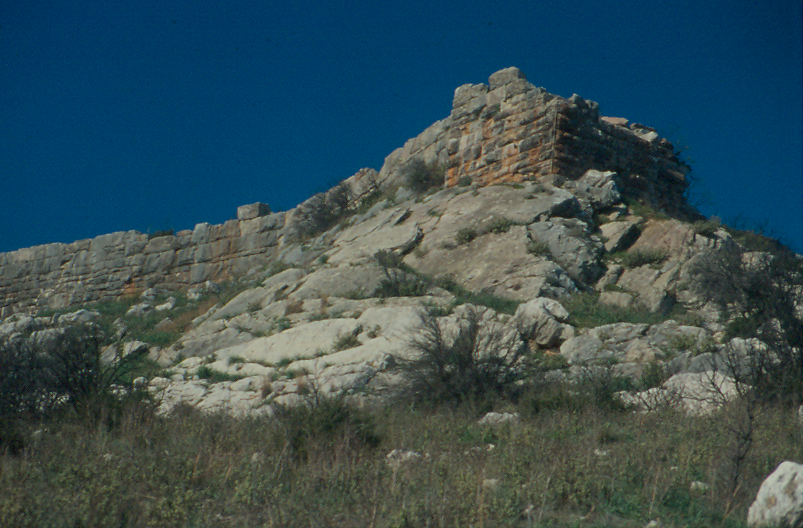 The Acropolis of Panopeas