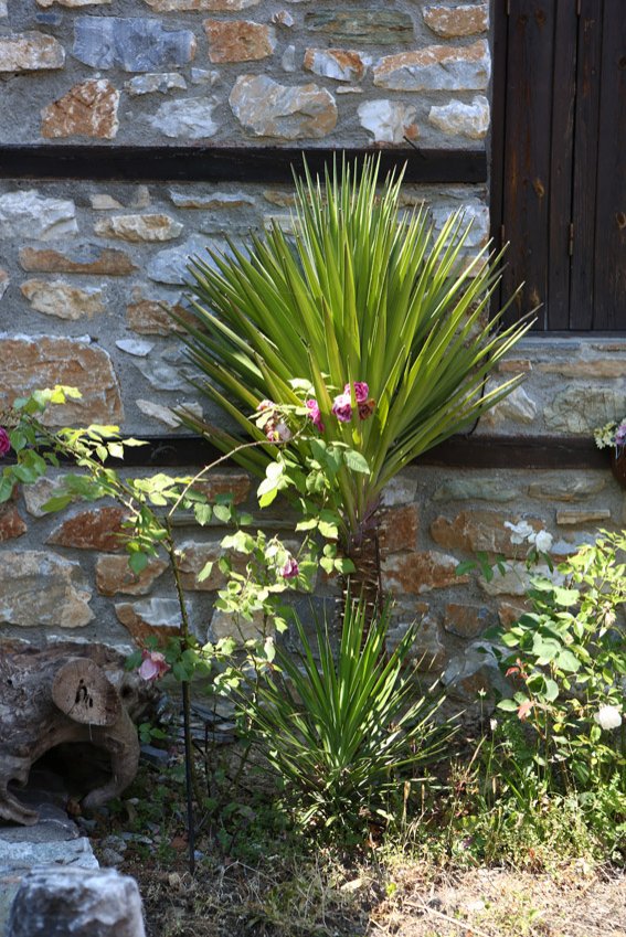 Paleos Panteleimonas (Old Panteleimonas)