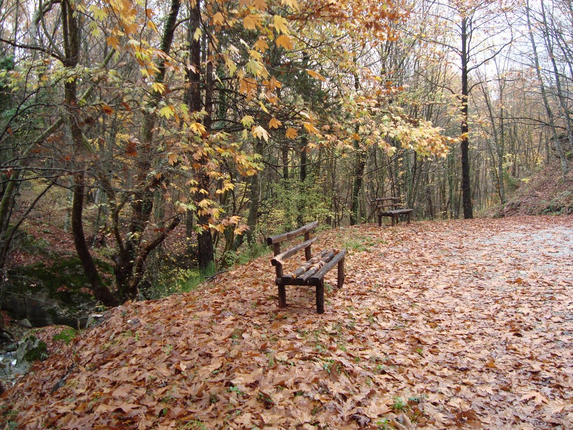 Elatochori & Old Elatochori