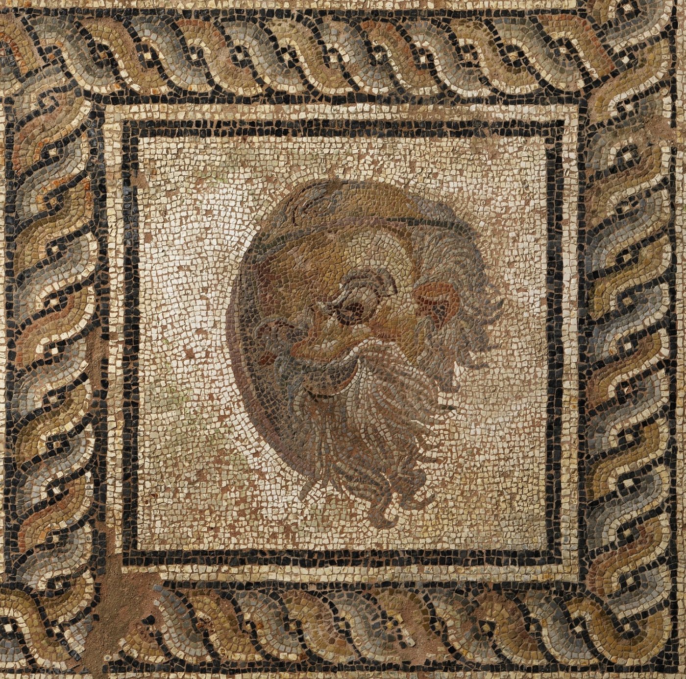 Store Gallery of Dion