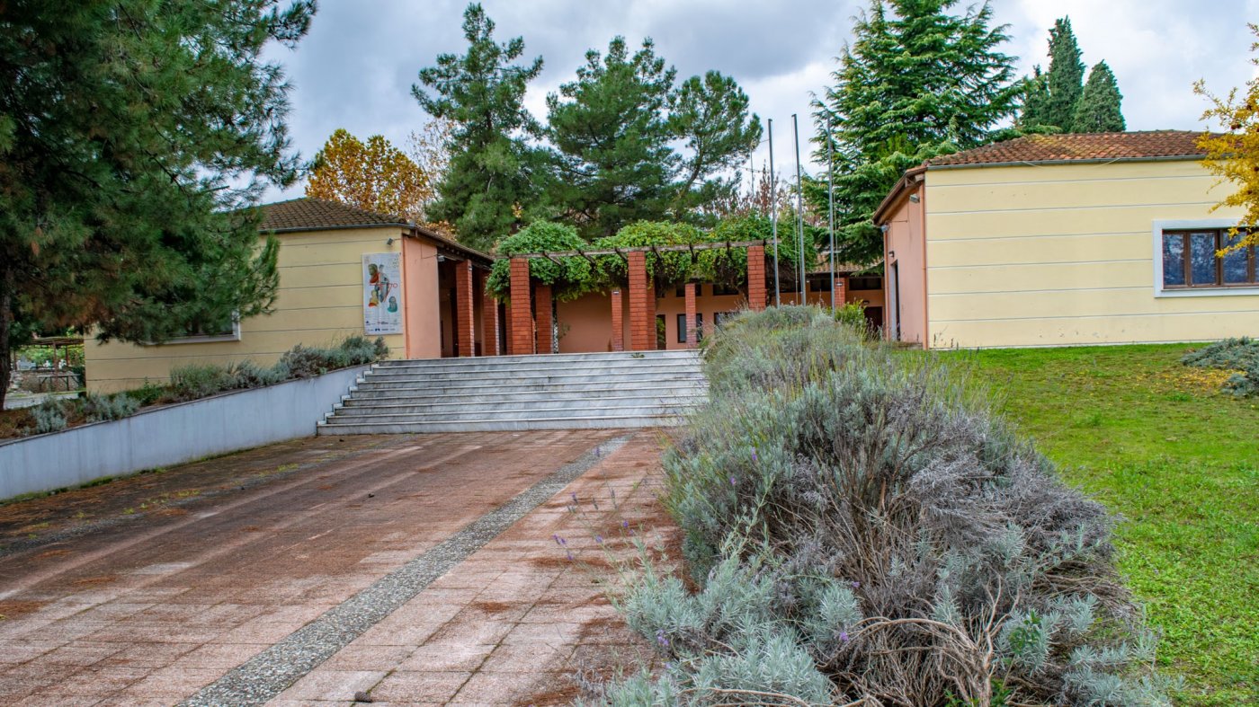 Center of Mediterranean Mosaics