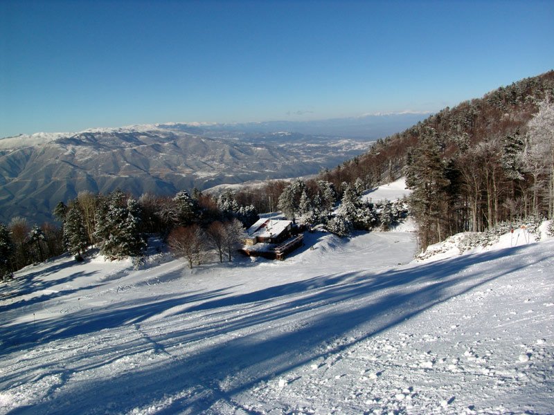 Skiing 